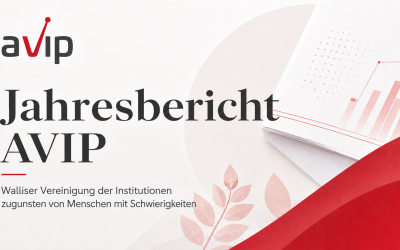 TÄTIGKEITSBERICHT AVIP 2025